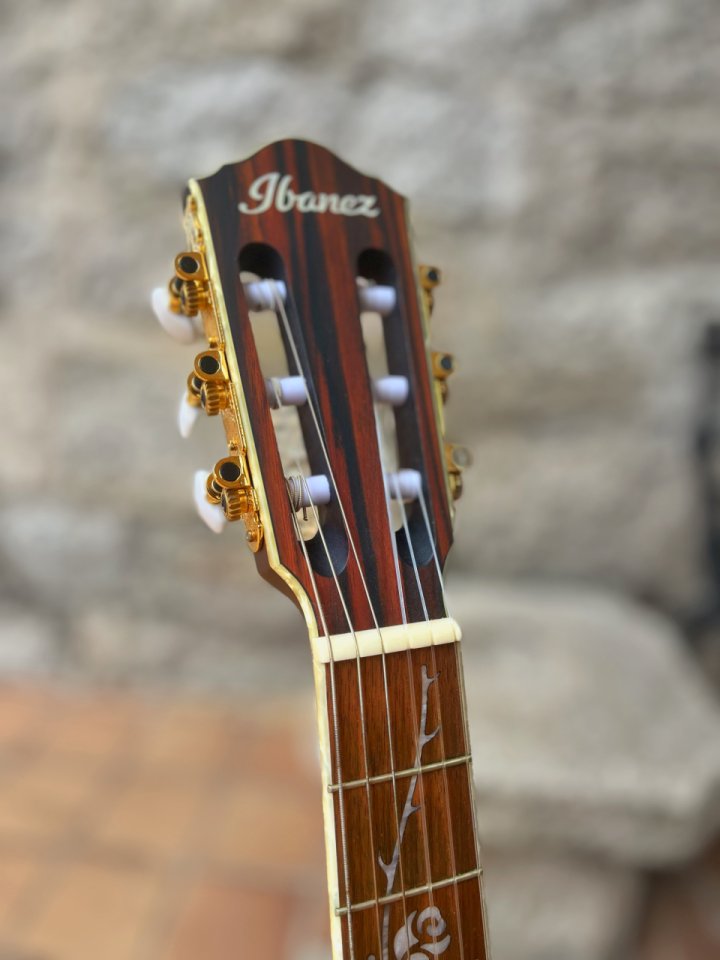 Ibanez TOD10n