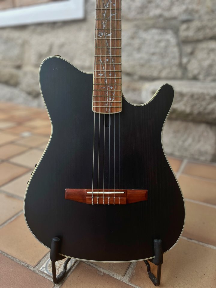 Ibanez TOD10n