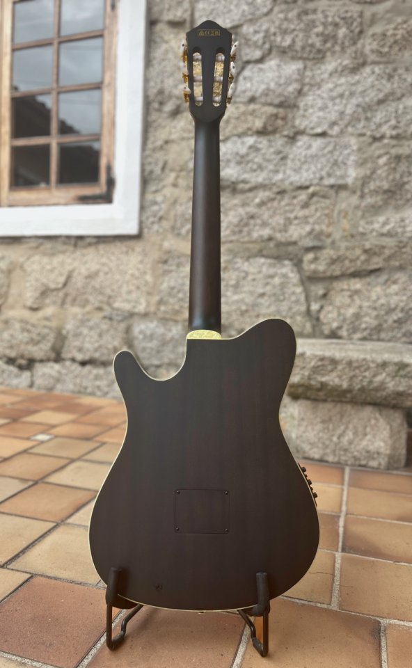 Ibanez TOD10n