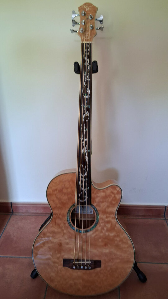 Bajo Acústico Fretless Michael Kelly DF5-FL-QM Dragonfly 5 String