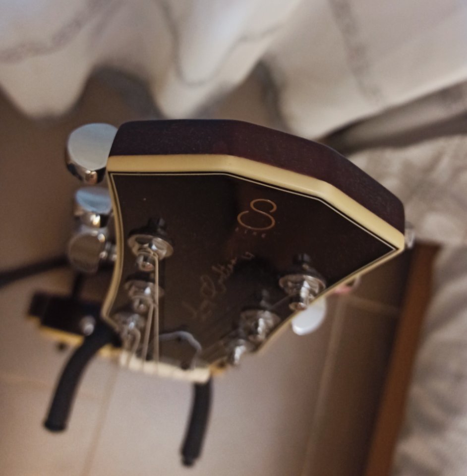 SIRE LARRY CARLTON L7 TS