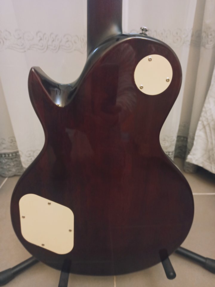 SIRE LARRY CARLTON L7 TS