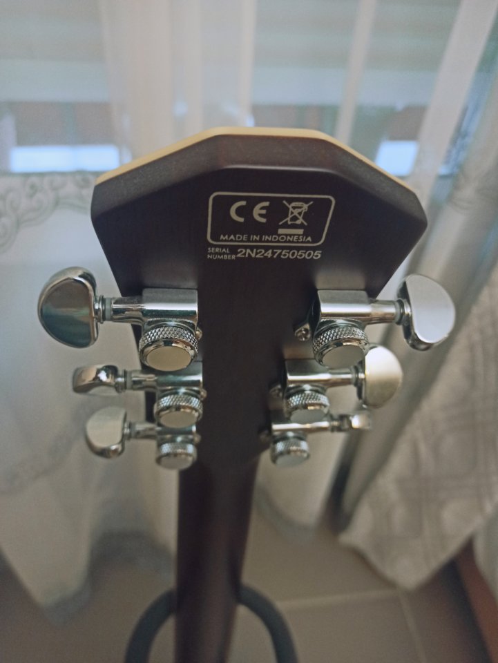 SIRE LARRY CARLTON L7 TS