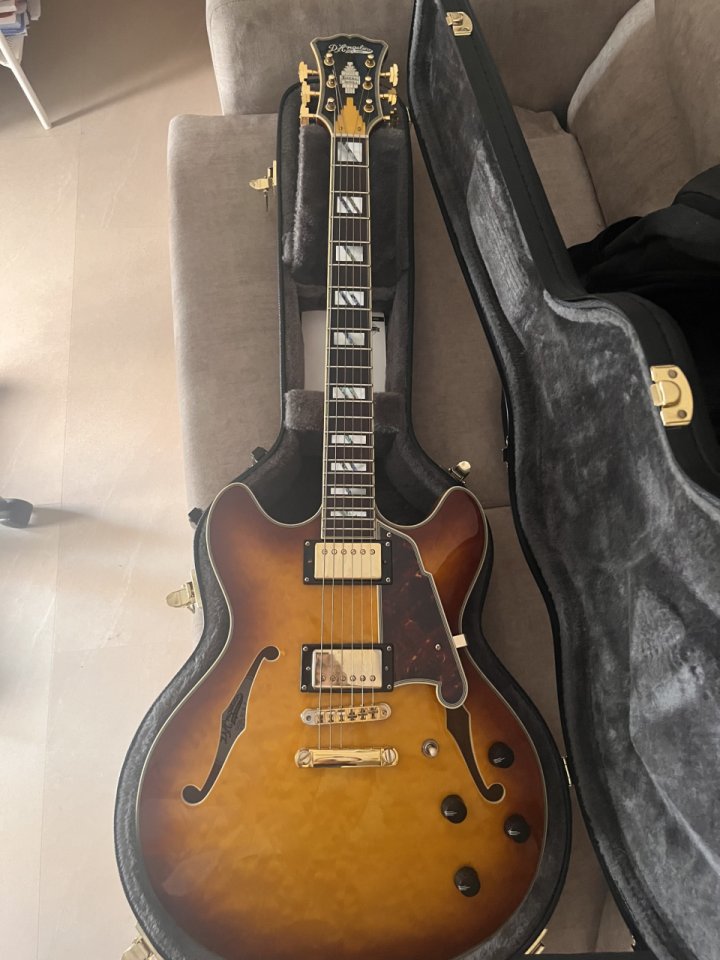 Vendo D´Angelico Excel DC XT de segunda mano · Foto 1 de 8 · Córdoba · 1000 €