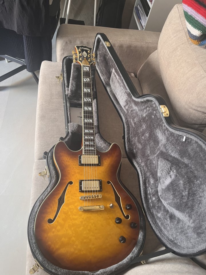 Vendo D´Angelico Excel DC XT de segunda mano · Foto 2 de 8 · Córdoba · 1000 €