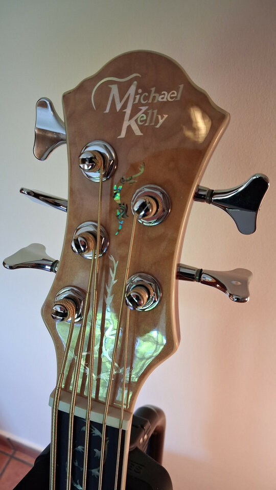 Bajo Acústico Fretless Michael Kelly DF5-FL-QM Dragonfly 5 String