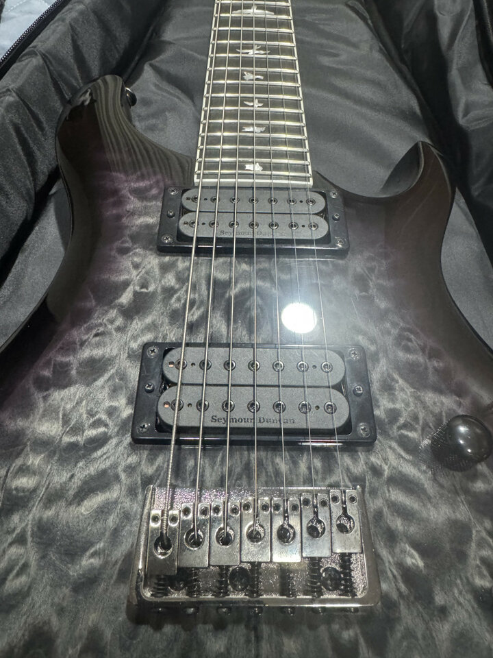 PRS SE Mark Holcomb ( Reservada )