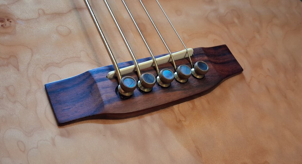 Bajo Acústico Fretless Michael Kelly DF5-FL-QM Dragonfly 5 String
