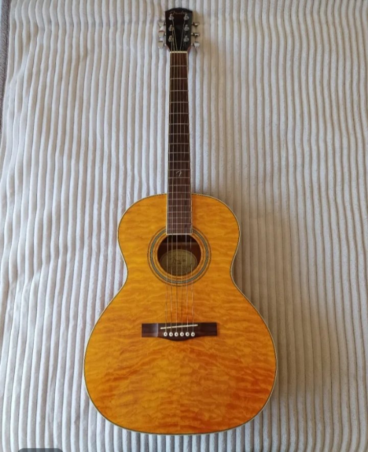 Fender GDO 300, Acústica