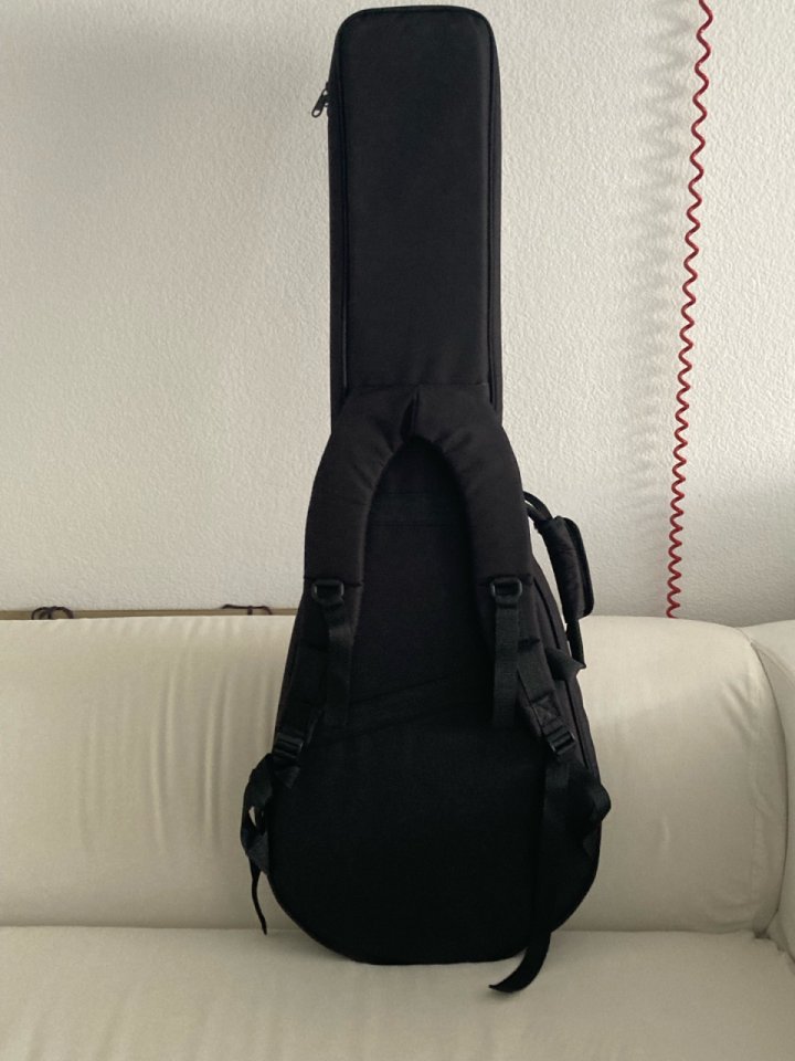 Funda D’Angelico guitarra DC & SS de segunda mano · Foto 2 de 2 · Sevilla · 55 €