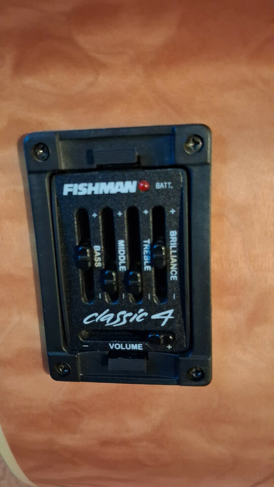 Bajo Acústico Fretless Michael Kelly DF5-FL-QM Dragonfly 5 String