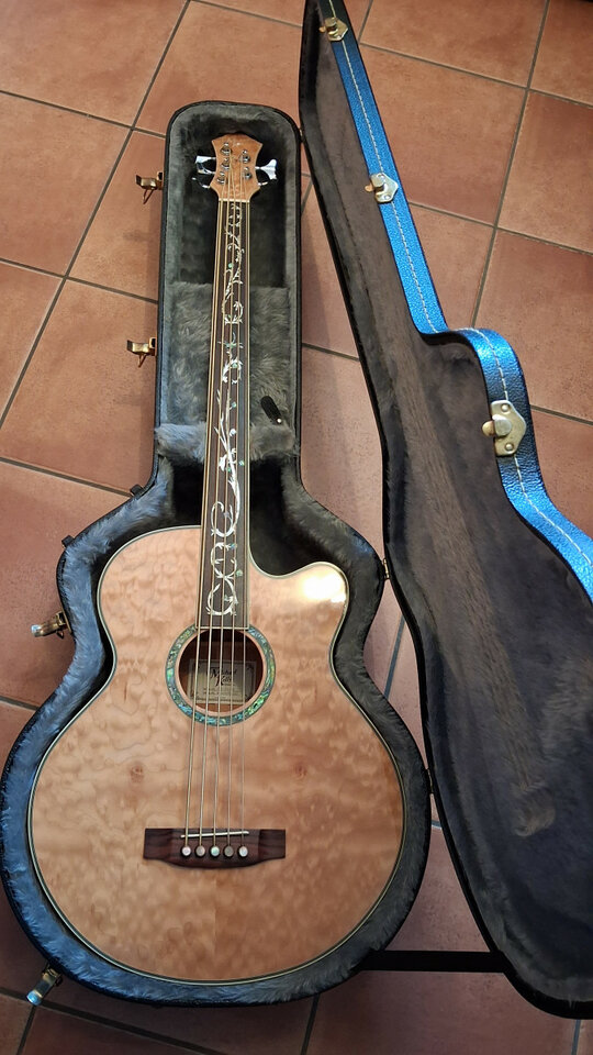 Bajo Acústico Fretless Michael Kelly DF5-FL-QM Dragonfly 5 String