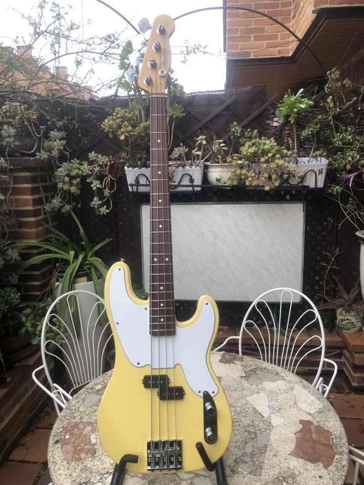 fender precision mike dirnt