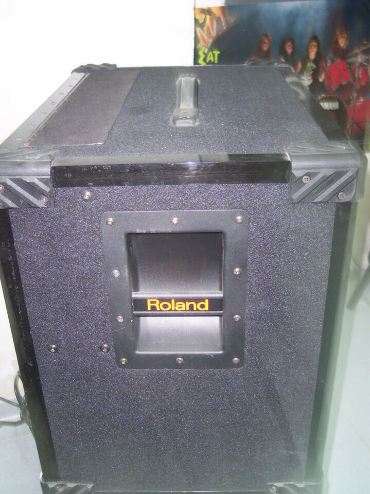 Amplificador Roland Para Bajo y teclado