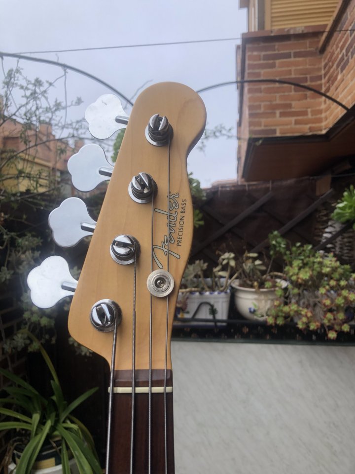 fender precision mike dirnt