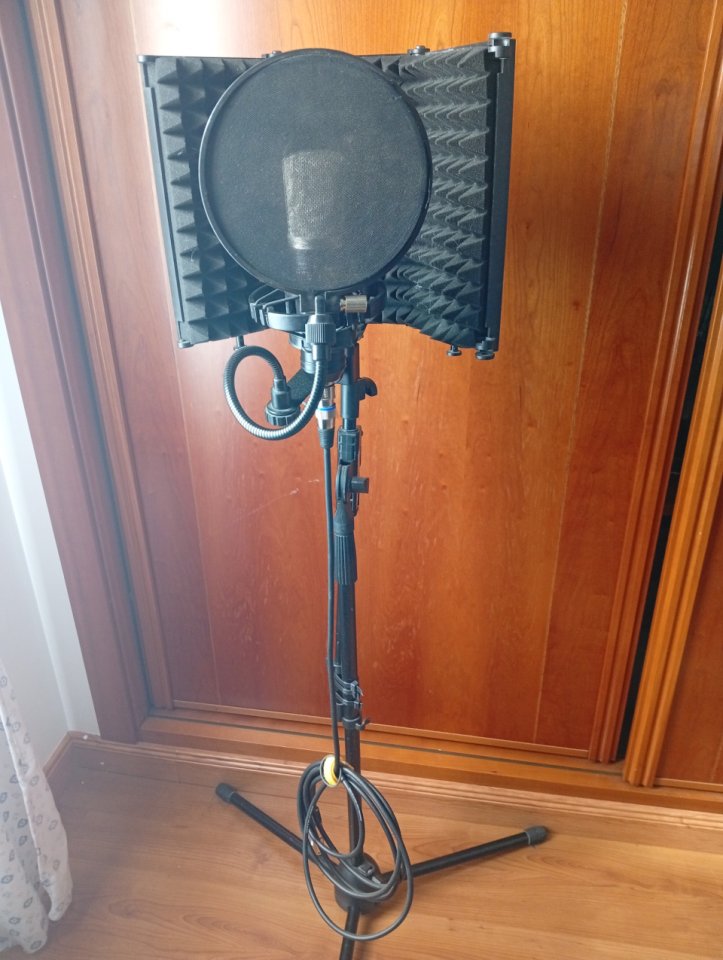 Micrófono de Condensador The t Bone sc-450