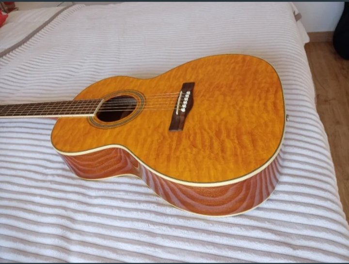 Fender GDO 300, Acústica