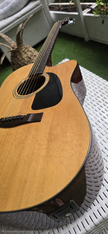 Fender FG300 ce de segunda mano · Foto 2 de 10 · Madrid · 180 €