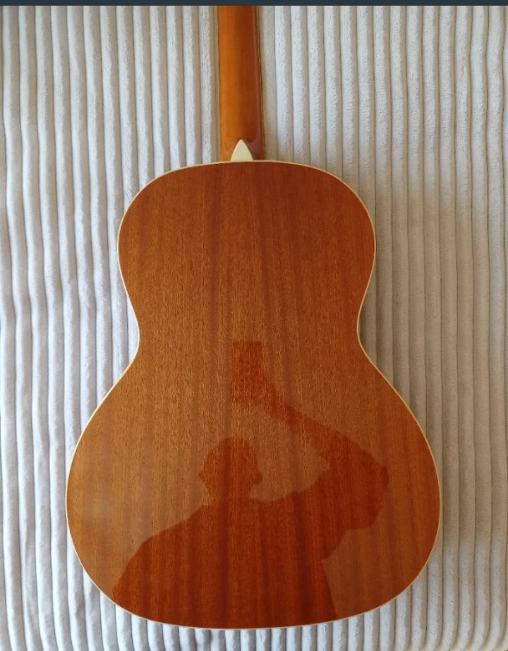 Fender GDO 300, Acústica