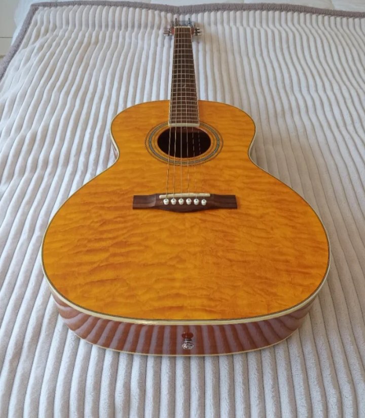 Fender GDO 300, Acústica