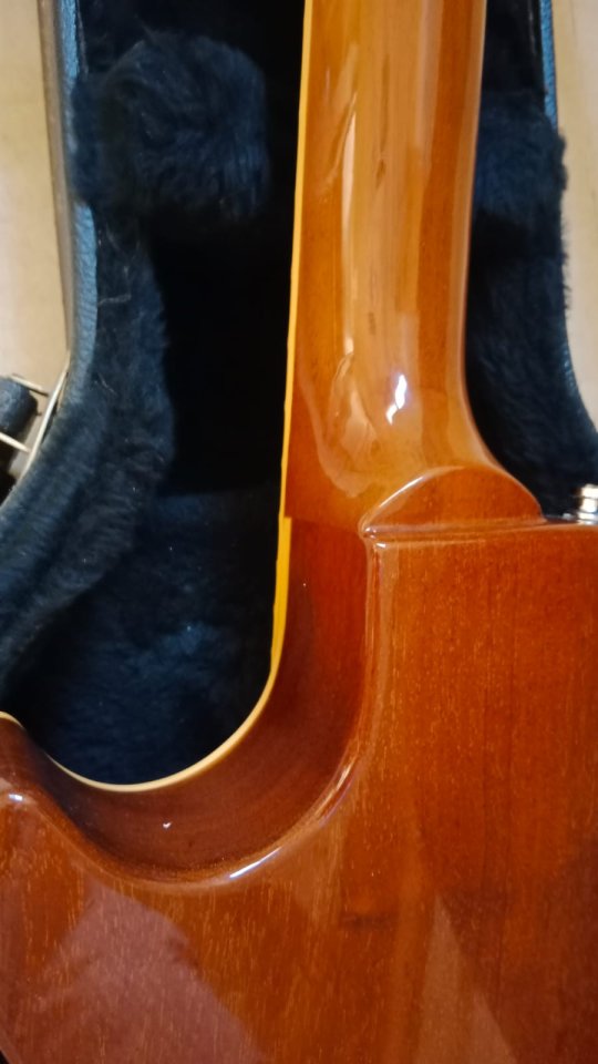 Cambio.Orville LP Japan