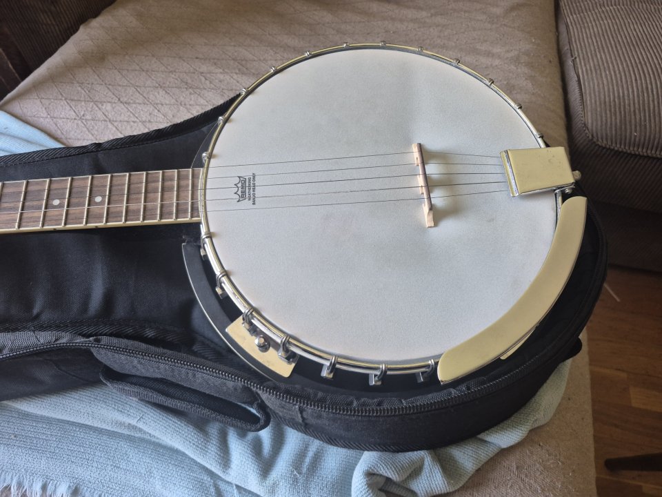 Banjo Harley Benton HBJ-25 de segunda mano · Foto 1 de 7 · Madrid · 110 €