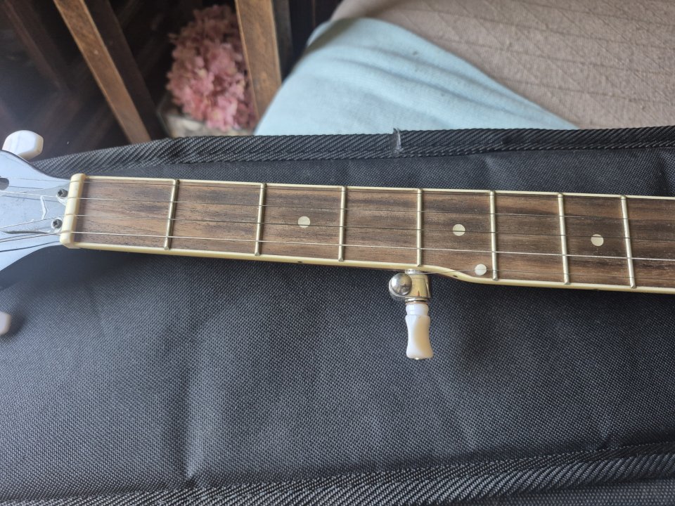 Banjo Harley Benton HBJ-25 de segunda mano · Foto 4 de 7 · Madrid · 110 €