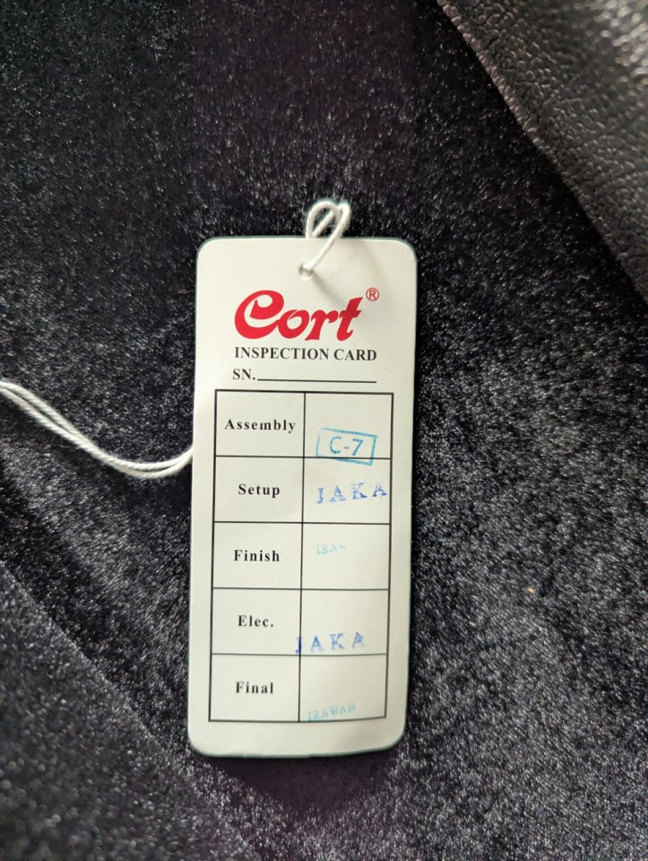 Cort X11 + Dimarzio Evolution Set + Estuche