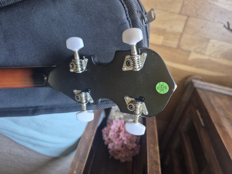 Banjo Harley Benton HBJ-25 de segunda mano · Foto 6 de 7 · Madrid · 110 €