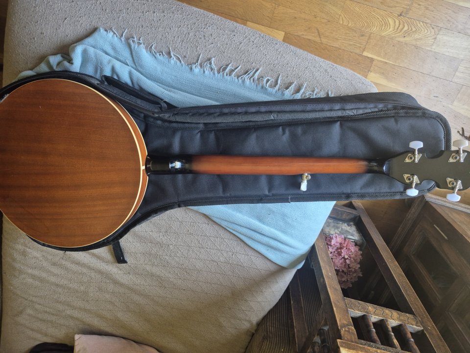 Banjo Harley Benton HBJ-25 de segunda mano · Foto 7 de 7 · Madrid · 110 €