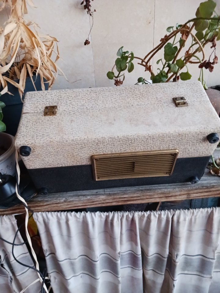 Watkins Copicat MK II Tape Delay de segunda mano · Foto 4 de 6 · Madrid · 850 €