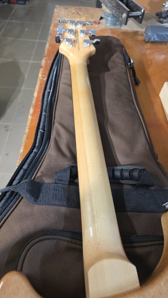 PRS SE custom 24 modificada con estuche gator y funda prs