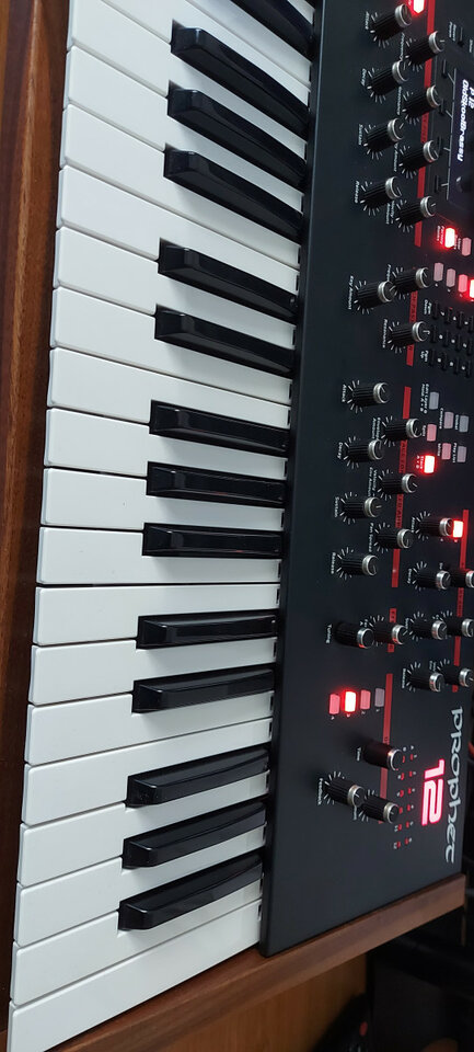 Dave Smith Prophet 12 Impecable