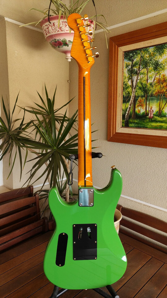 Superstrato partcaster personalilzada (Málaga, ESP)
