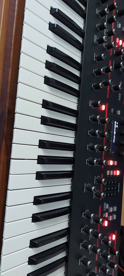 Dave Smith Prophet 12 Impecable