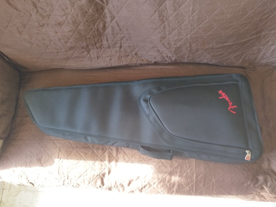 Estuche para guitarra Fender
