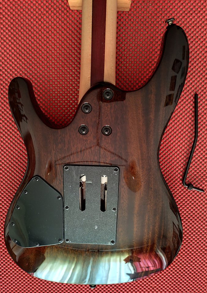 Ibanez Jiva 10 DSB - Signature Nita Strauss (NUEVA) de segunda mano · Foto 4 de 10 · Guadalajara · 1100 €