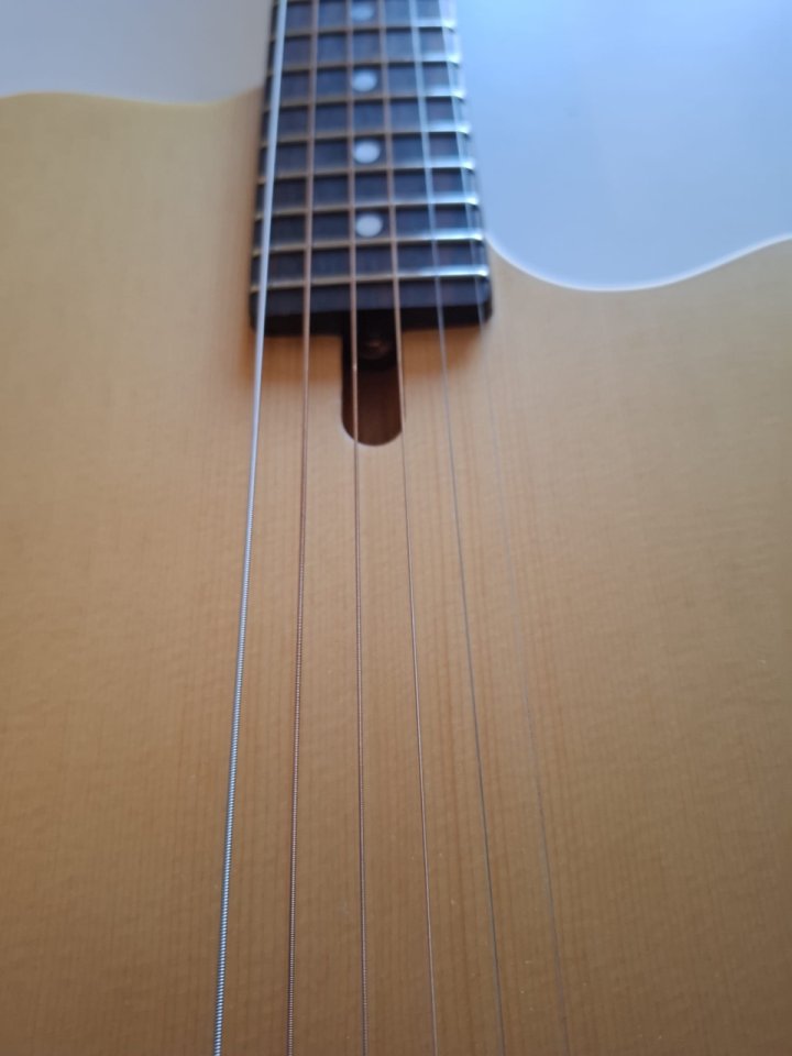 SIRE Larry Carlton G5A Natural