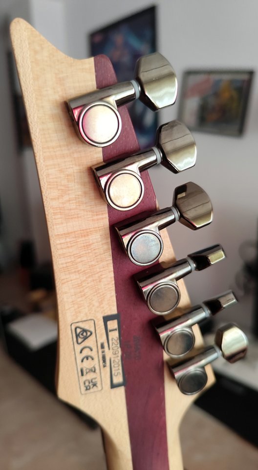 Ibanez Jiva 10 DSB - Signature Nita Strauss (NUEVA) de segunda mano · Foto 9 de 10 · Guadalajara · 1100 €