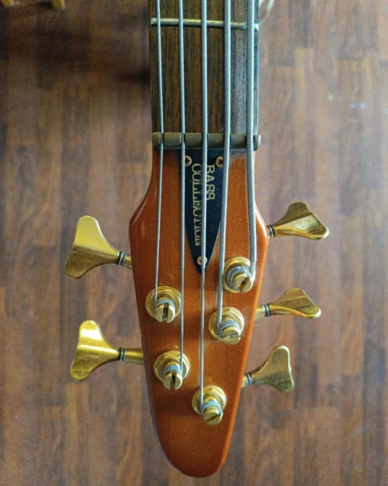 Bajo Bass Collection 5 cuerdas de segunda mano · Foto 5 de 6 · Barcelona · 500 €