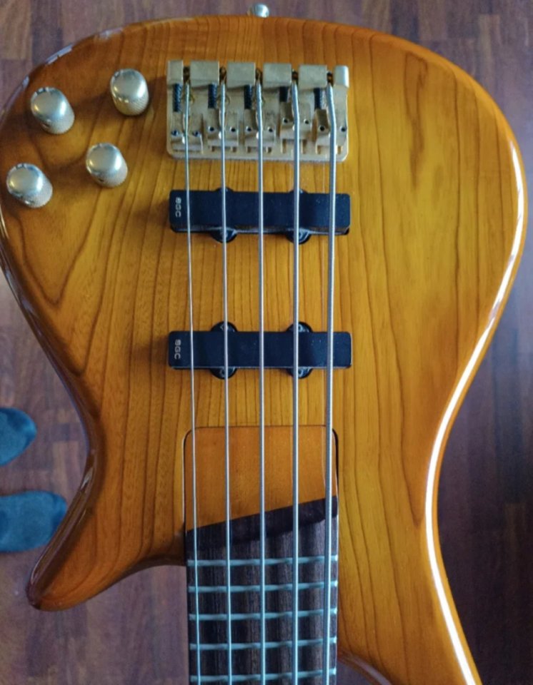 Bajo Bass Collection 5 cuerdas de segunda mano · Foto 6 de 6 · Barcelona · 500 €
