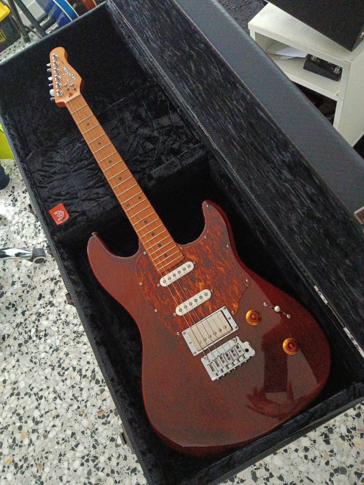 Godin Session T-Pro Ltd Kanyon Burst Mn de segunda mano · Foto 8 de 10 · Gipuzkoa · 1000 €