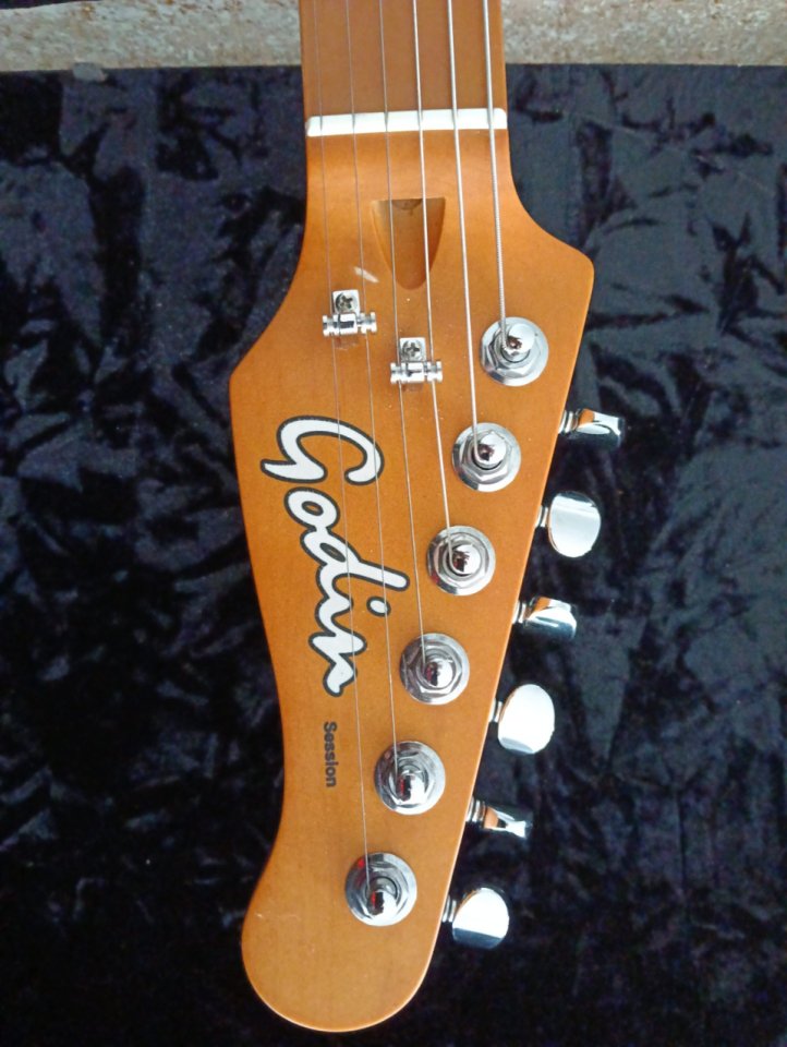 Godin Session T-Pro Ltd Kanyon Burst Mn de segunda mano · Foto 10 de 10 · Gipuzkoa · 1000 €