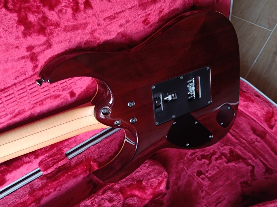 Ibanez RG8570Z J.Custom de segunda mano · Foto 4 de 4 · Tarragona