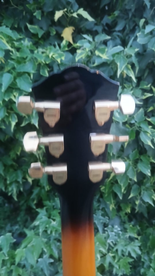 Washburn HB35 MIK 1990