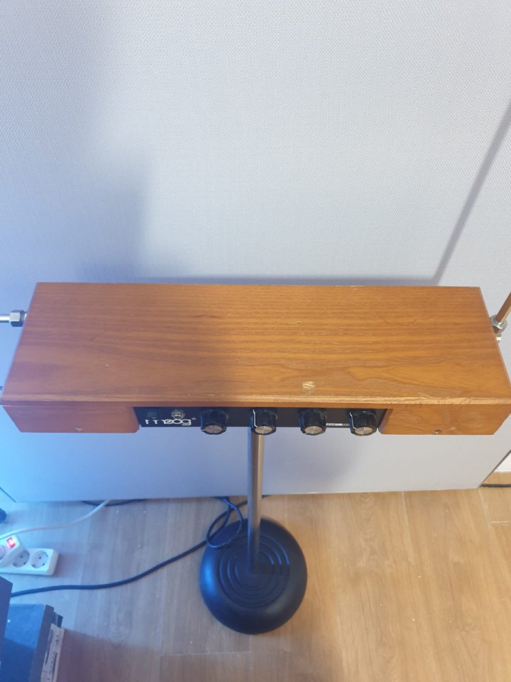Theremin Moog Etherwave
