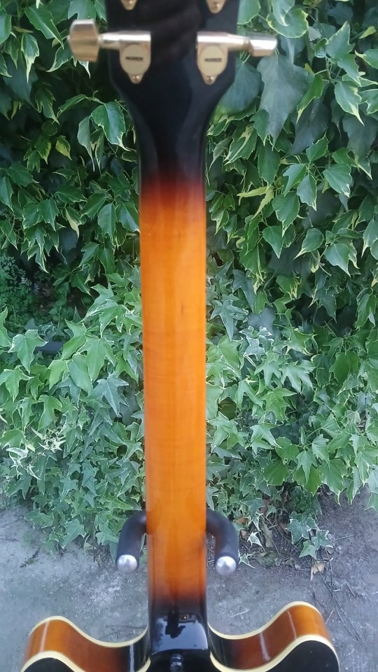 Washburn HB35 MIK 1990