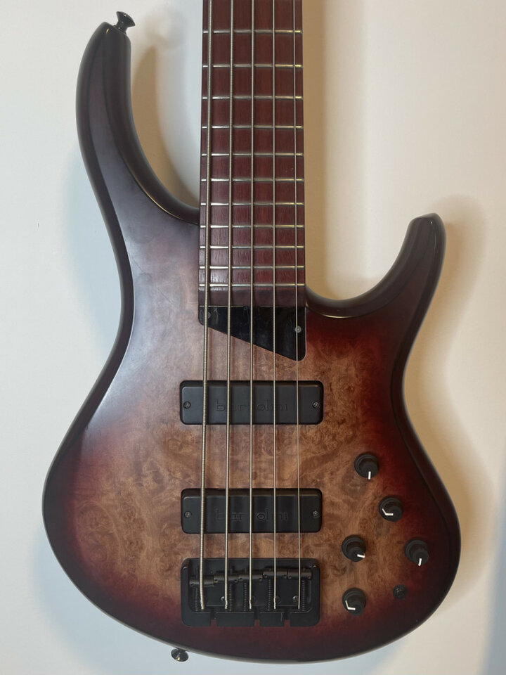 MTD Kingston Andrew Gouche Sig. 5