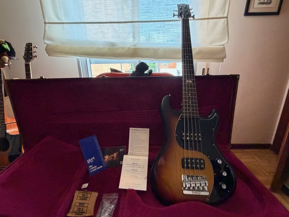 Bajo Gibson EB 5 Firebust 2013 (envío peninsula incluido). de segunda mano · Foto 1 de 8 · Zamora · 750 €