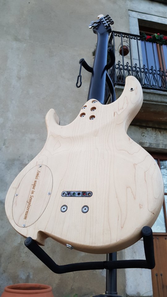 Weise Hugel Guayacan 2017 maple + wengué